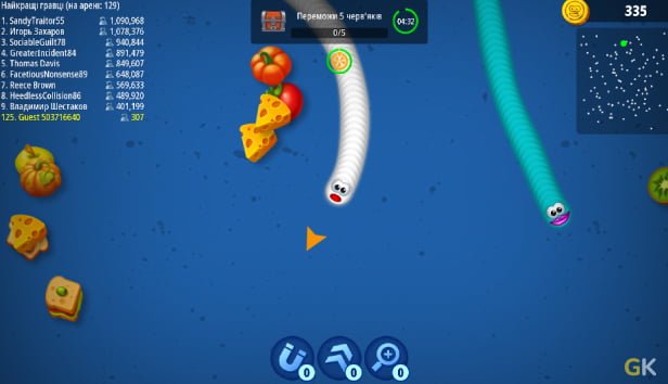 Worms Zone
