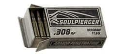 .308 AP