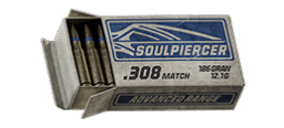 .308 Match