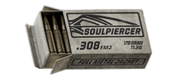 .308 W